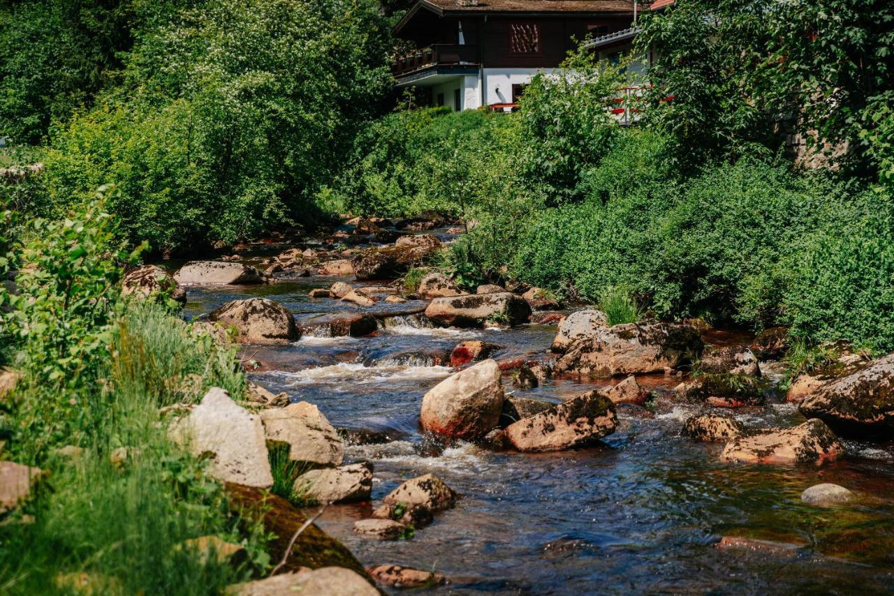 Hotel Villa Bodeblick 시르케 외부 사진